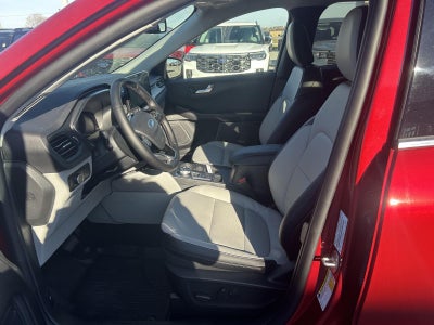 2026 Ford Escape Platinum™